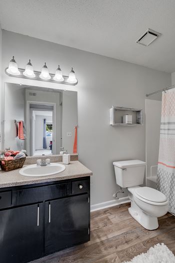Bathroom Vanity With Overlight Mirror